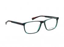 BELLINGER BELL RAPTOR